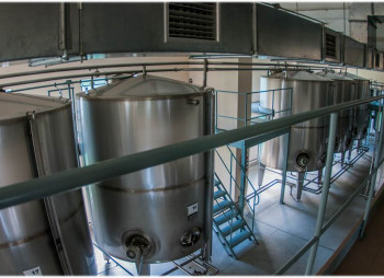 Vodka distillery in Ternopil region